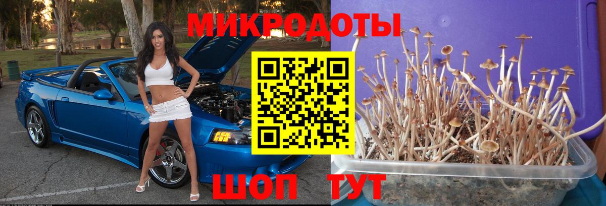Барнаул  Галлюциногенные грибы Cubensis  Псилоцибиновые грибы Cubensis  как найти   Вход с VPN 